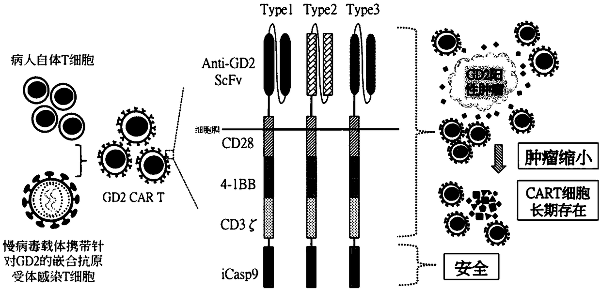 Chimeric antigen receptor based on GD2 and application thereof