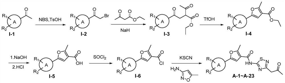 Thiadiazole amide compounds and their applications
