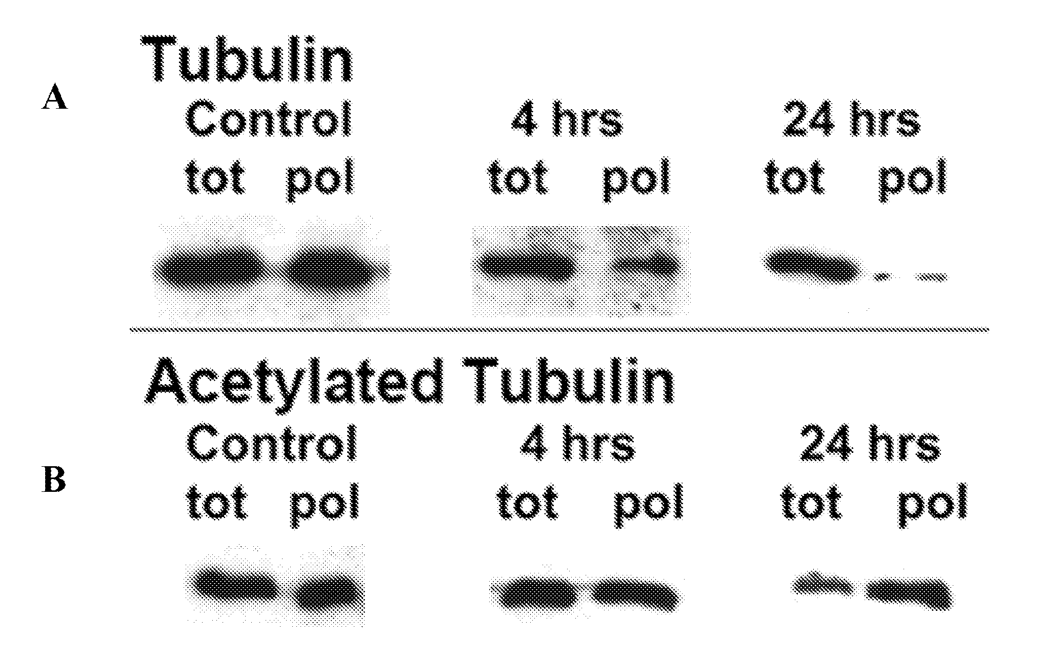 Methods for nucleic acid transfer into cells