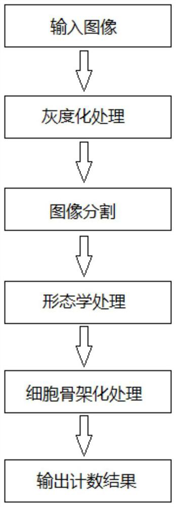 A Cell Counting Method Based on Skeleton Extraction