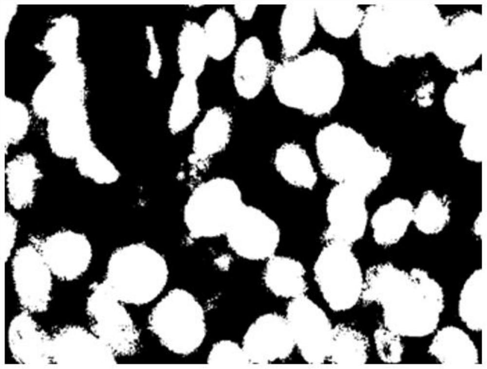 A Cell Counting Method Based on Skeleton Extraction