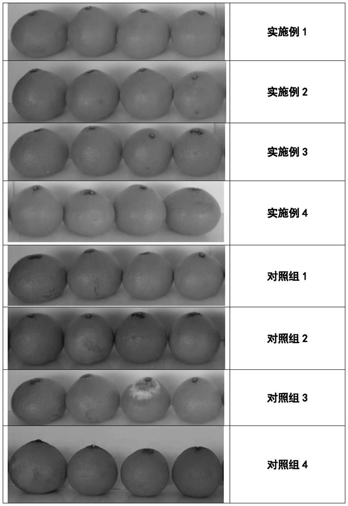 Multi-effect comprehensive preservation method suitable for postharvest storage of citrus fruits