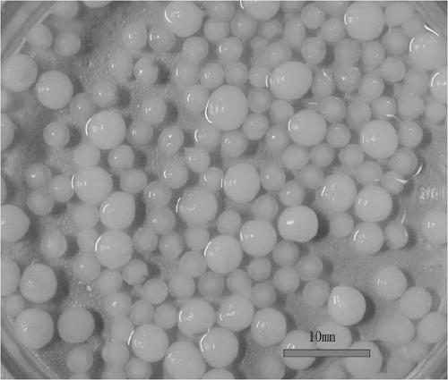 A kind of agarose crystal gel matrix particles with super large pores and preparation method thereof