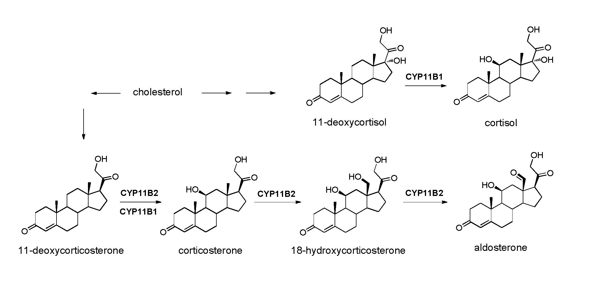 Selective CYP11B1 inhibitors for the treatment of cortisol dependent diseases