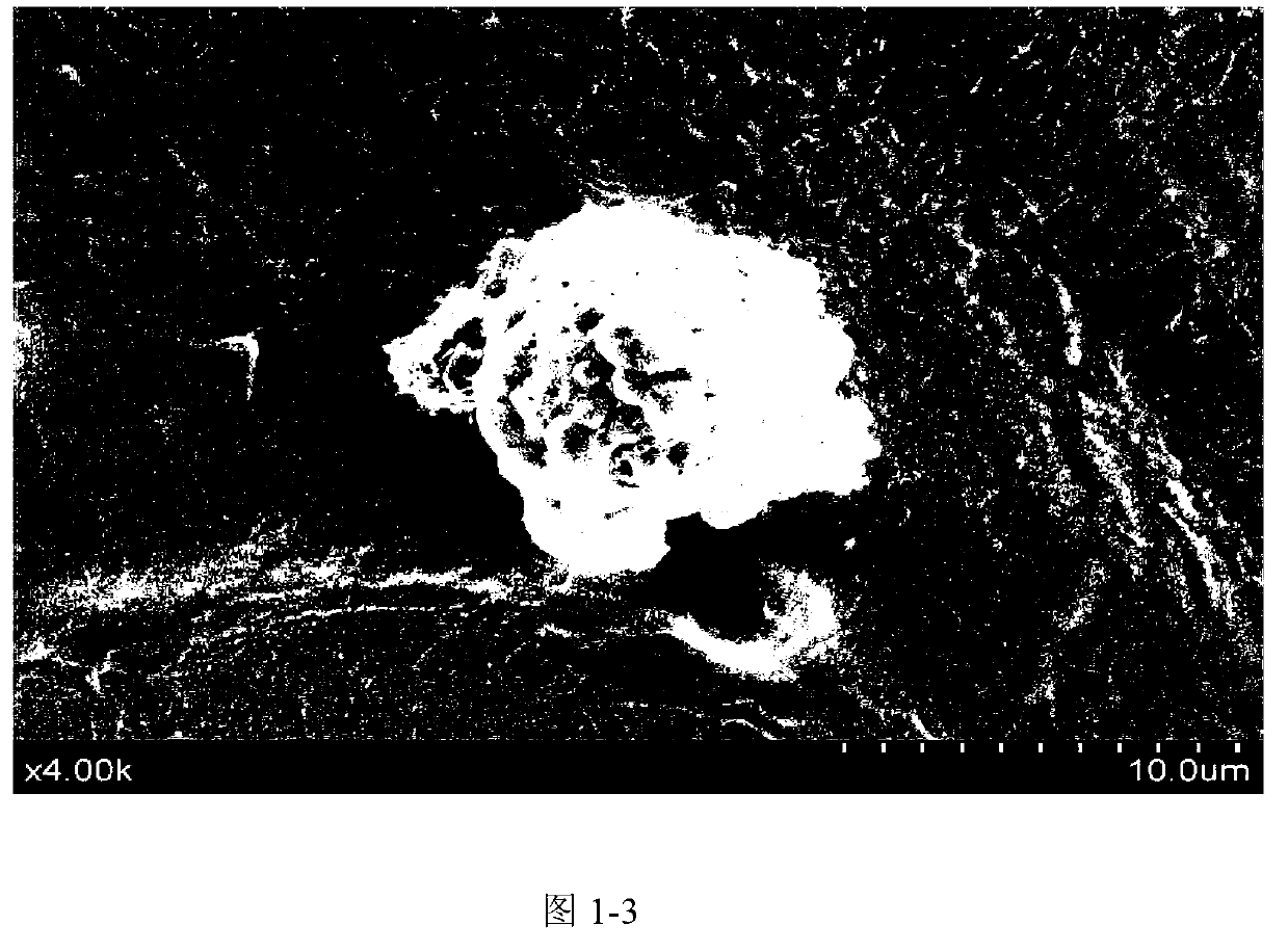 Preparation method of blueberry anthocyanin and application of blueberry anthocyanin prepared