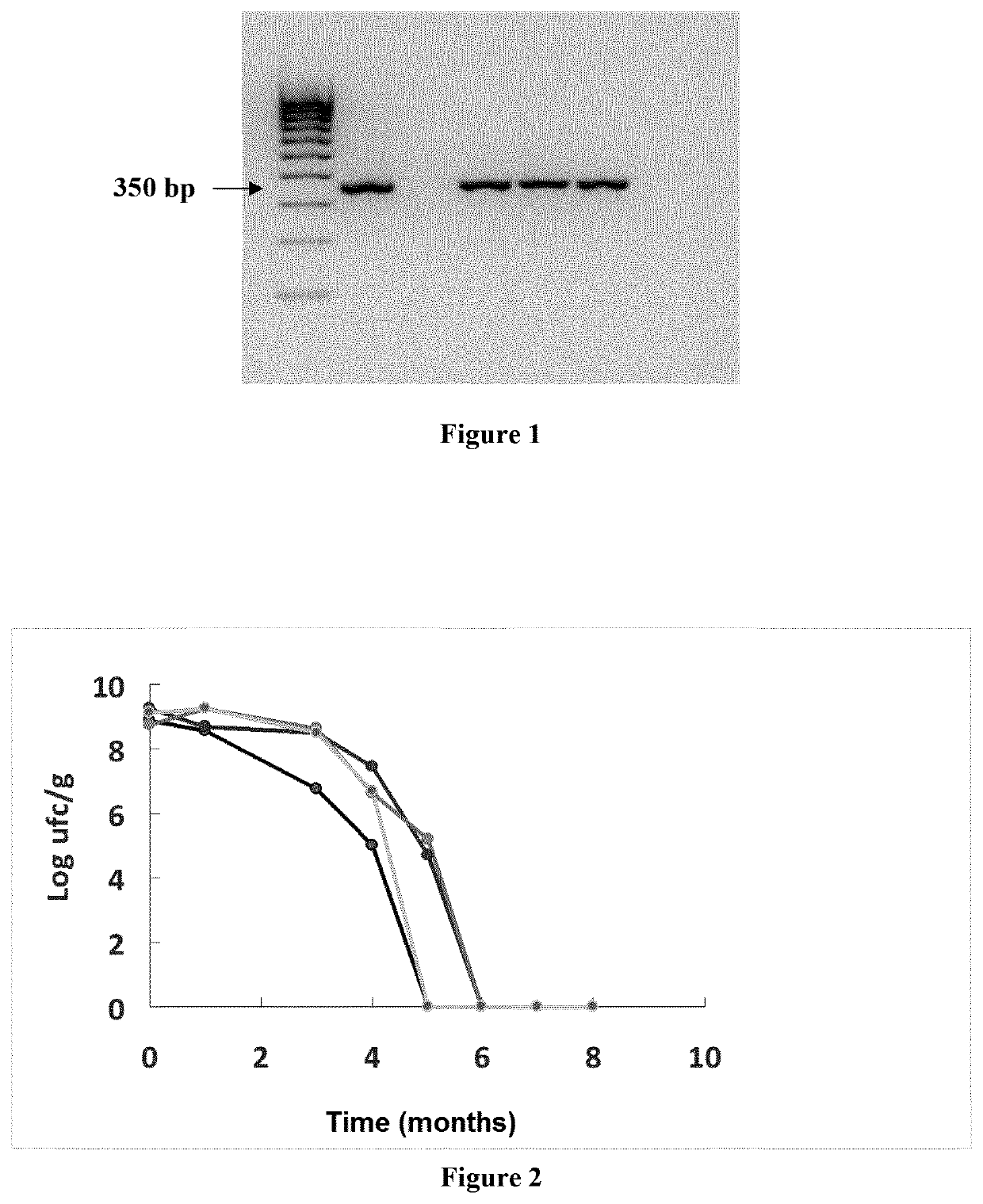 Composition comprising new lactobacillus salivarius strains and method for the prevention and treatment of otitis and upper respiratory infections