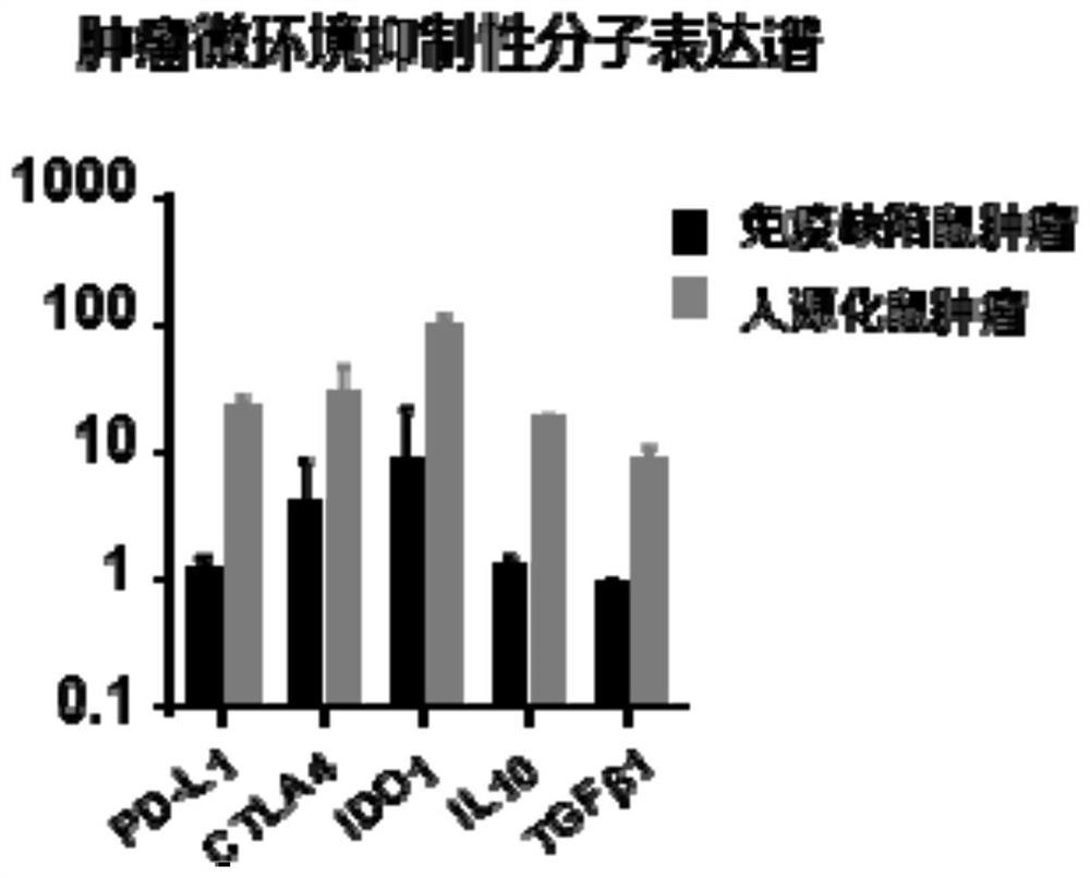 A kind of construction humanized mouse tumor model and its preparation method and application