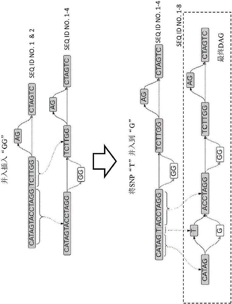 Methods and system for detecting sequence variants