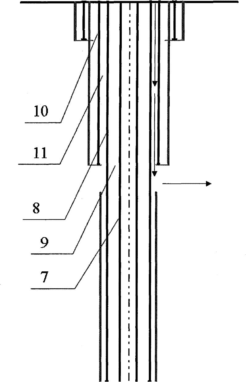 Rock debris annulus reinjection device and control method thereof