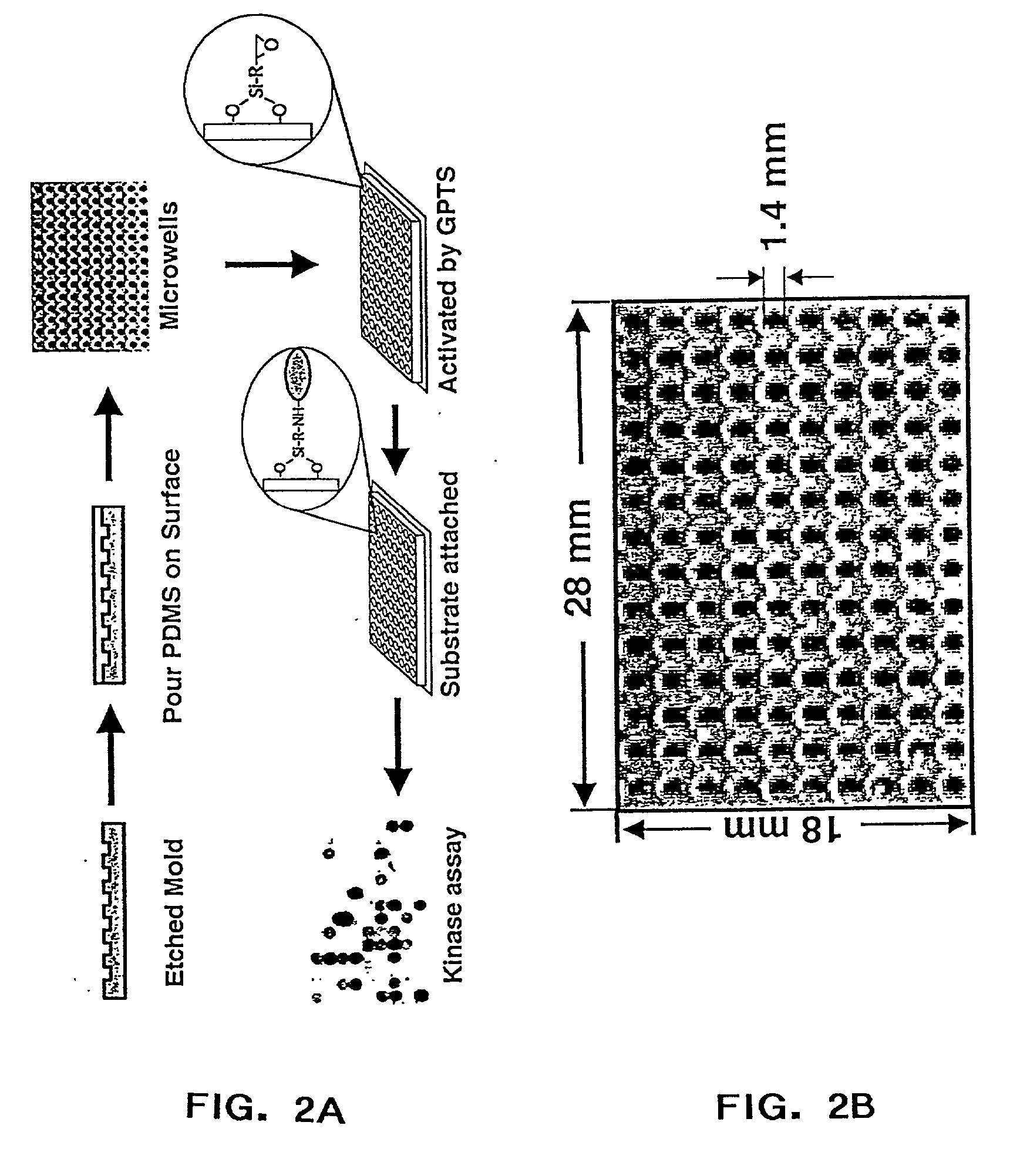 Protein chips for high throughput screening of protein activity