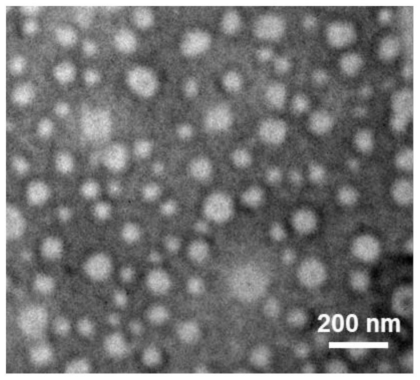 Lipid-coated albumin-bound chemotherapeutic drug nanoparticles as well as preparation method and application thereof