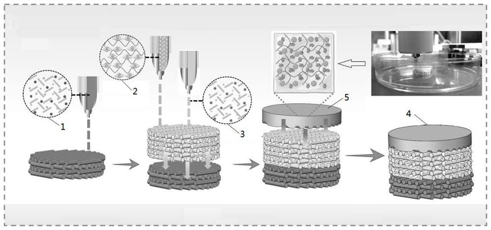 Controllable gradient stent loaded with drugs, active factors and cells, 3D printing method of controllable gradient stent and special multi-nozzle 3D printer