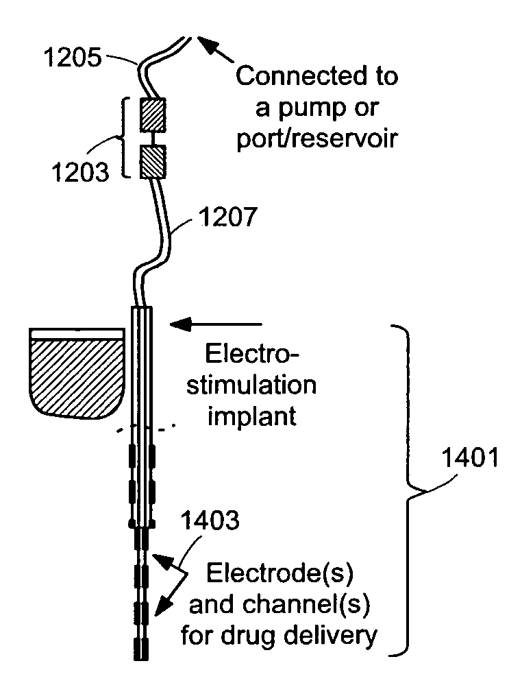 Implantable fluid delivery apparatuses and implantable electrode
