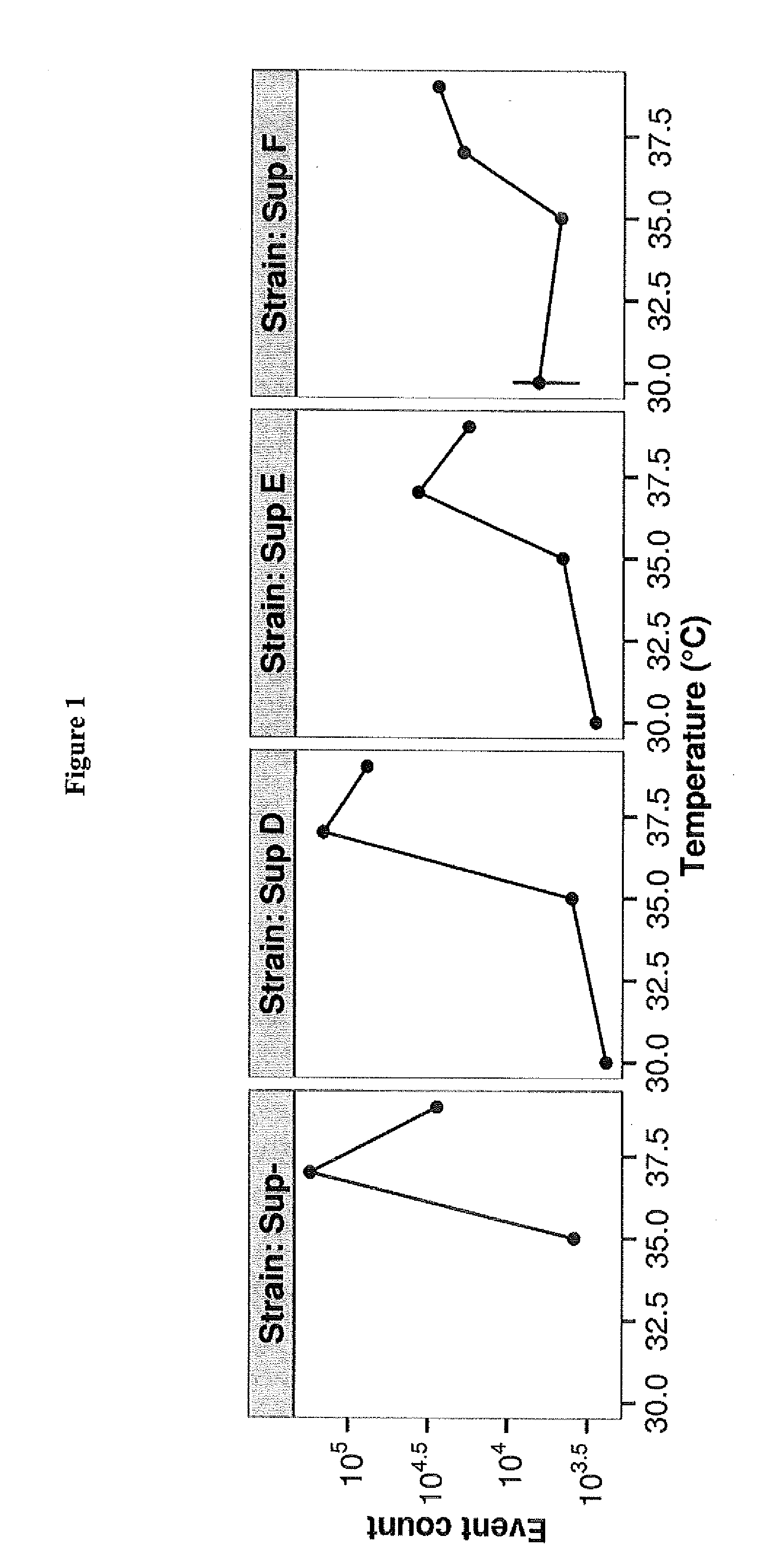 Phage display system