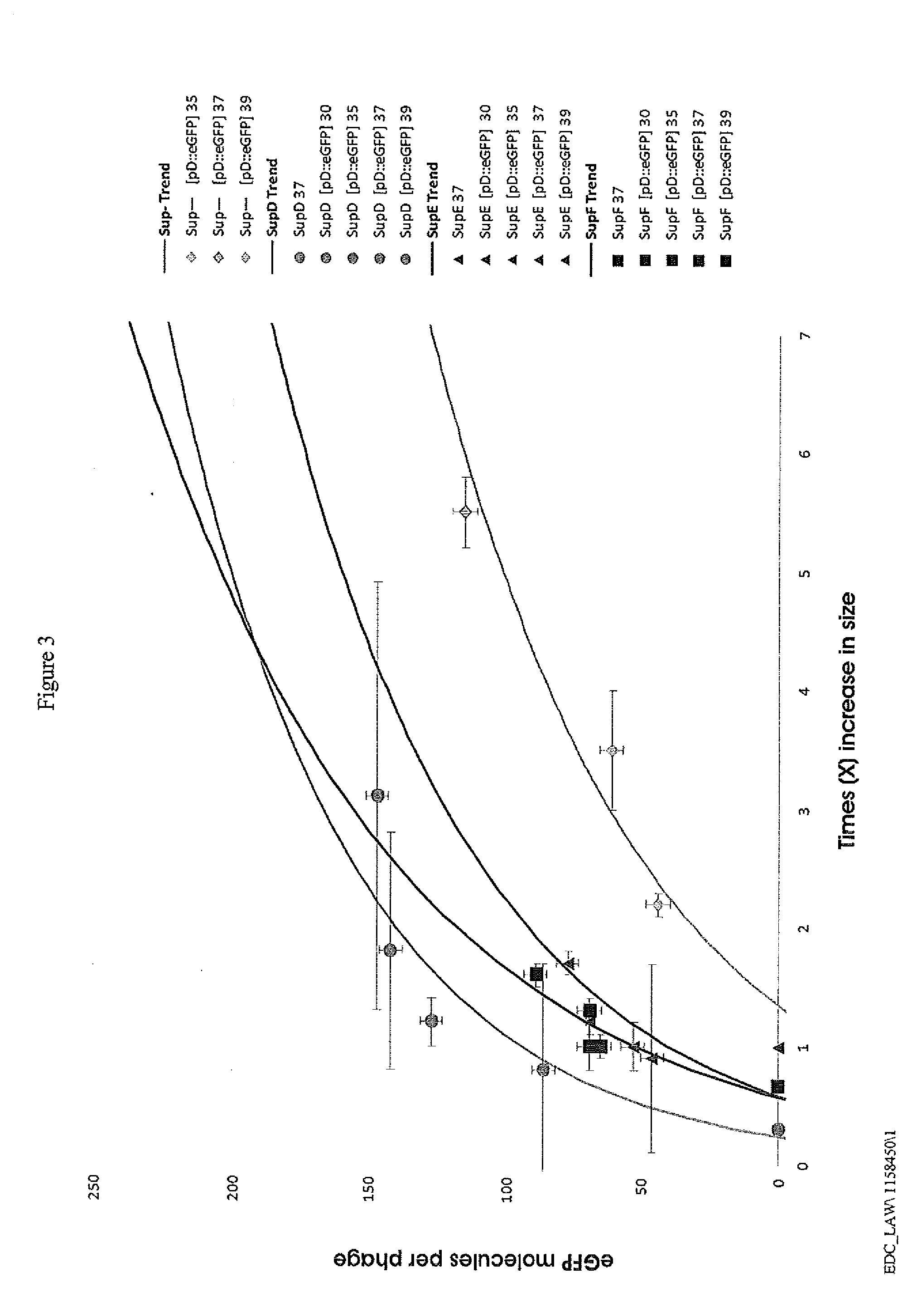 Phage display system