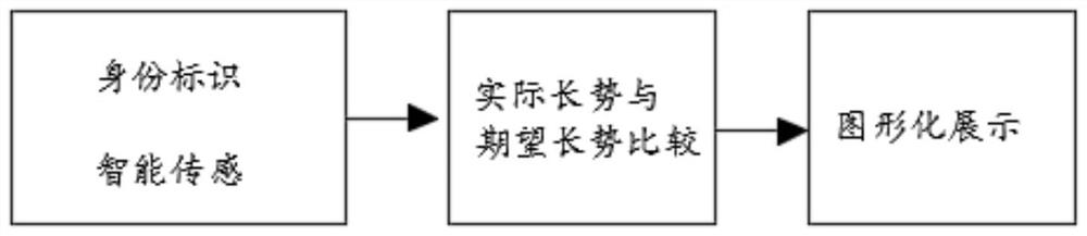 Flower soilless culture management and control method and device and medium