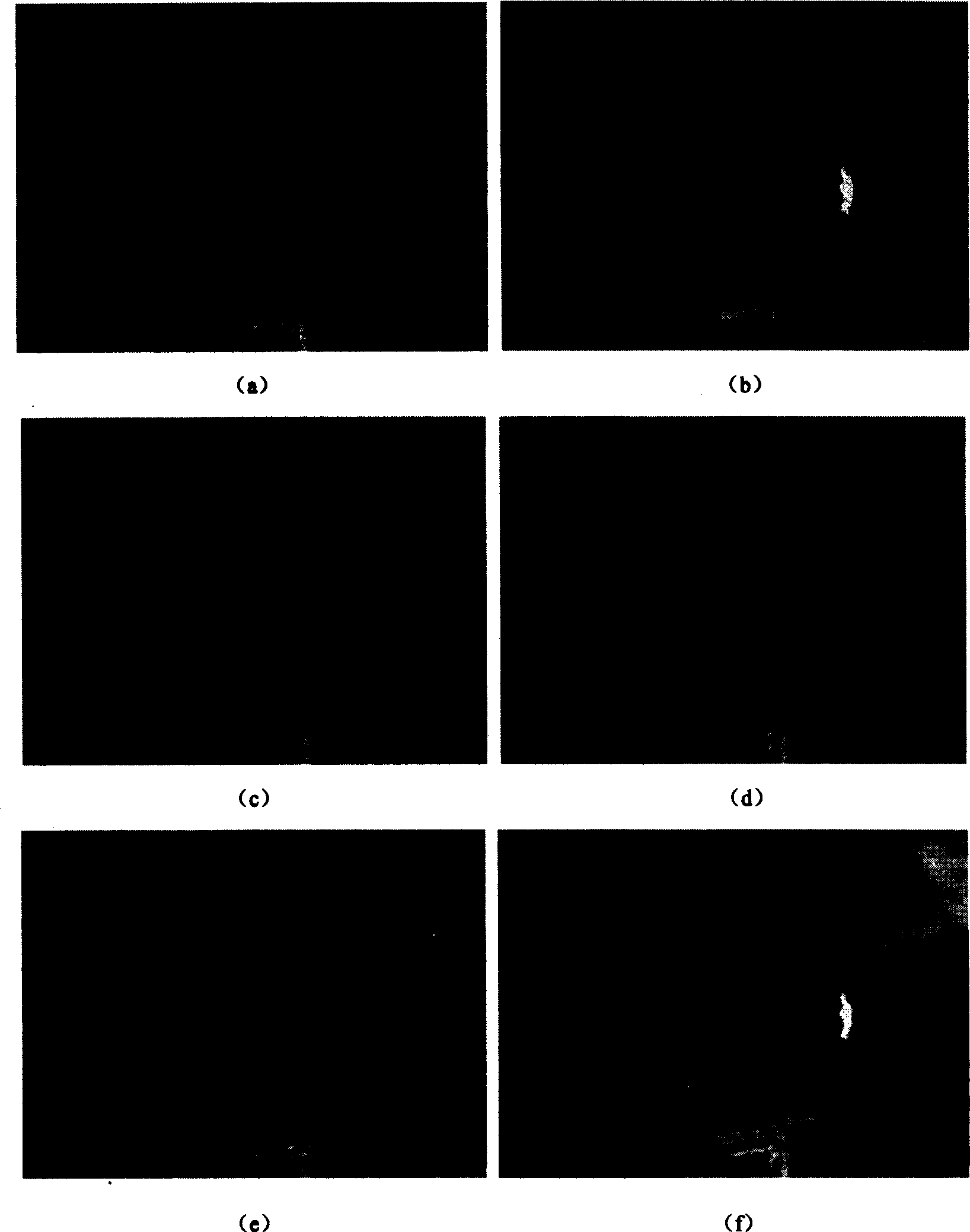 Infrared and visible light image merging method