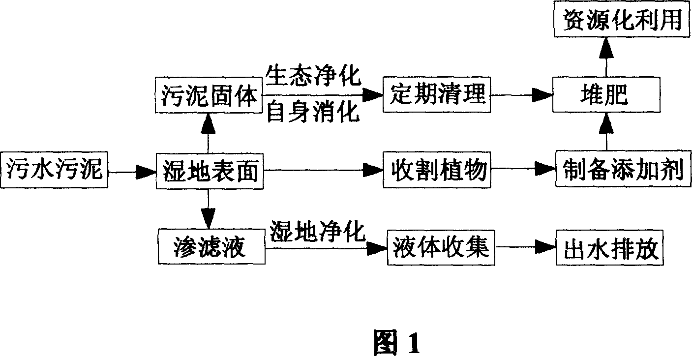 Treatment system for artificial wetland sewage and sludge