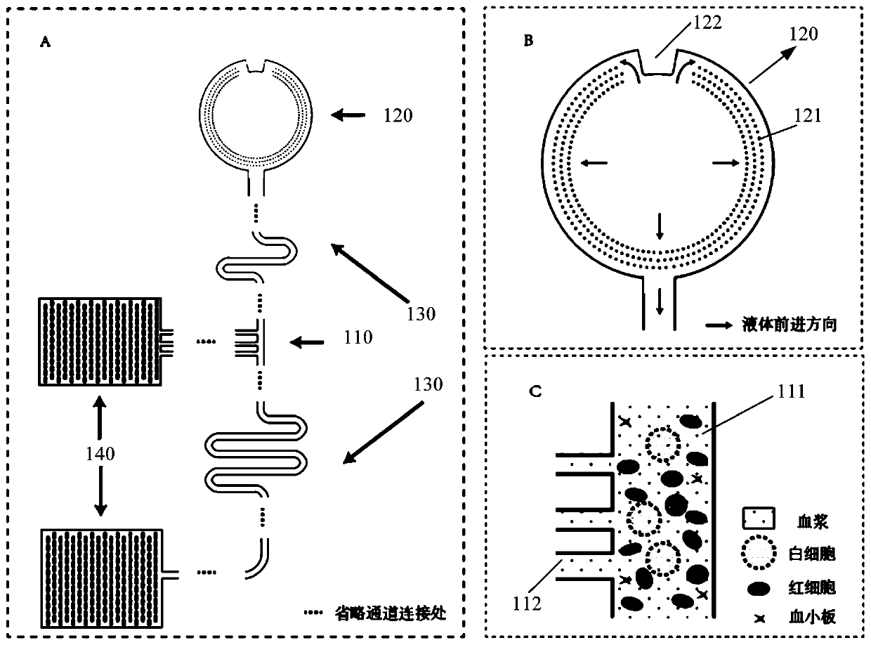 Micro-fluidic chip and whole blood separation method based on micro-fluidic chip