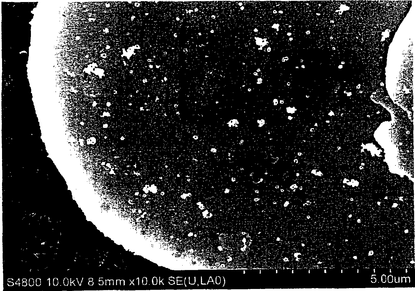 Colored metallic pigment, process for producing the same, and coating composition and cosmetic preparation comprising said colored metallic pigment