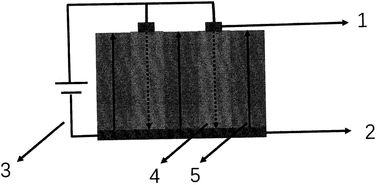 Method for preparing lithium niobate micro-disk cavity with any polarization pattern in submicron period