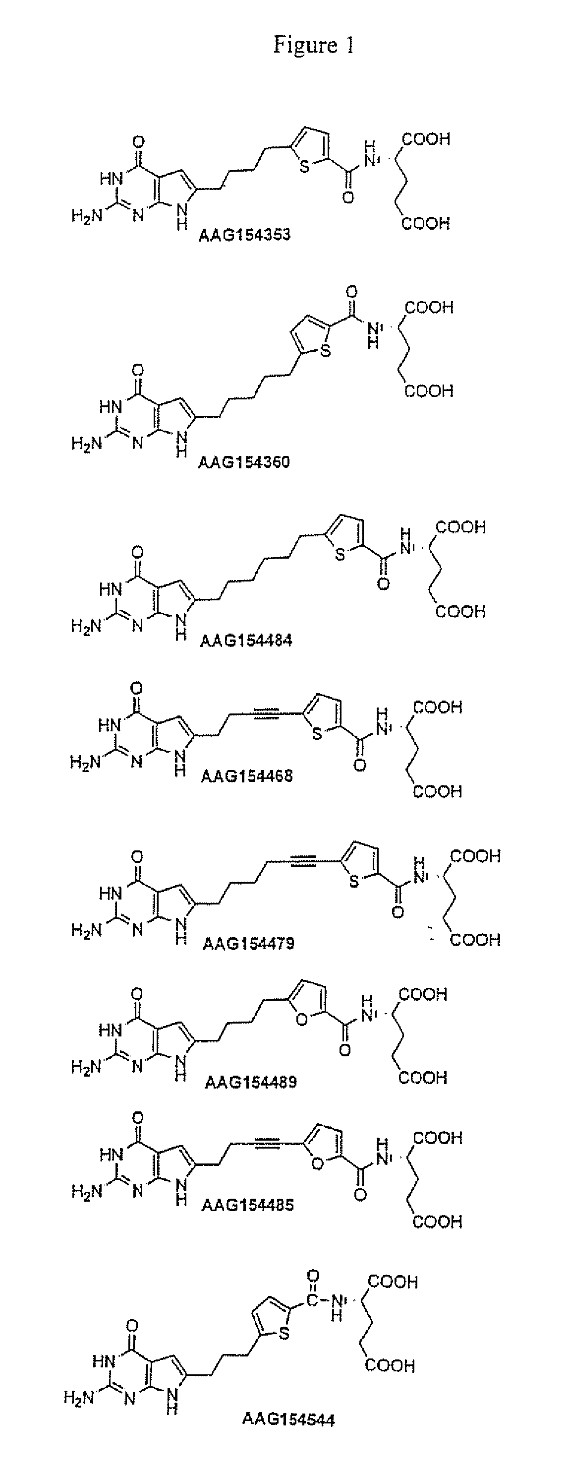Selective proton coupled folate transporter and folate receptor, and garftase inhibitor compounds and methods of using the same