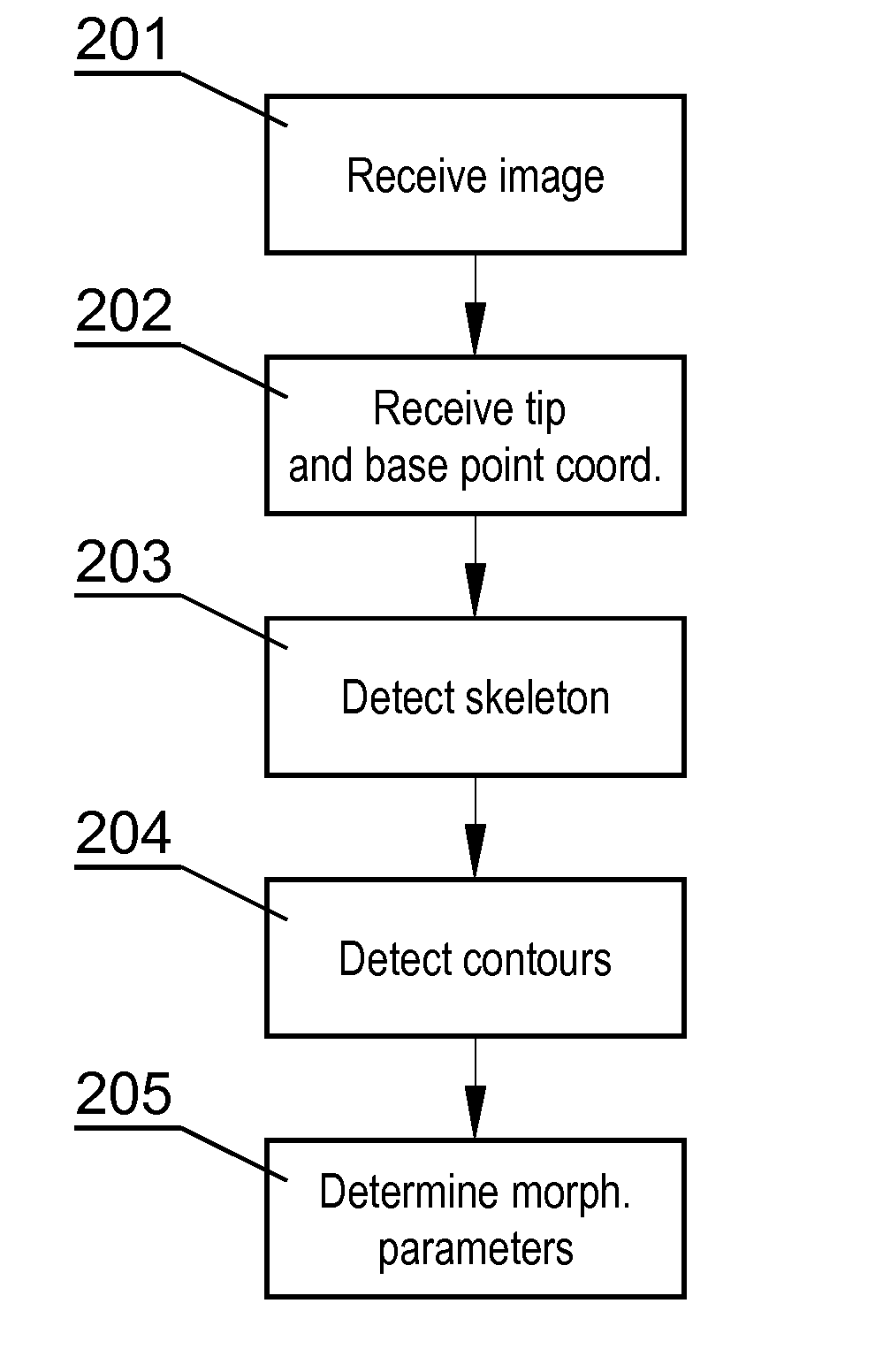 Method and a system for processing an image comprising dendritic spines