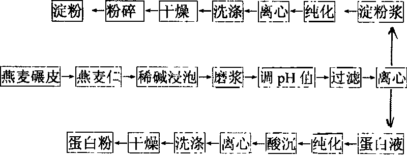 Production technology of extracting oat starch and oat protein powder from oat