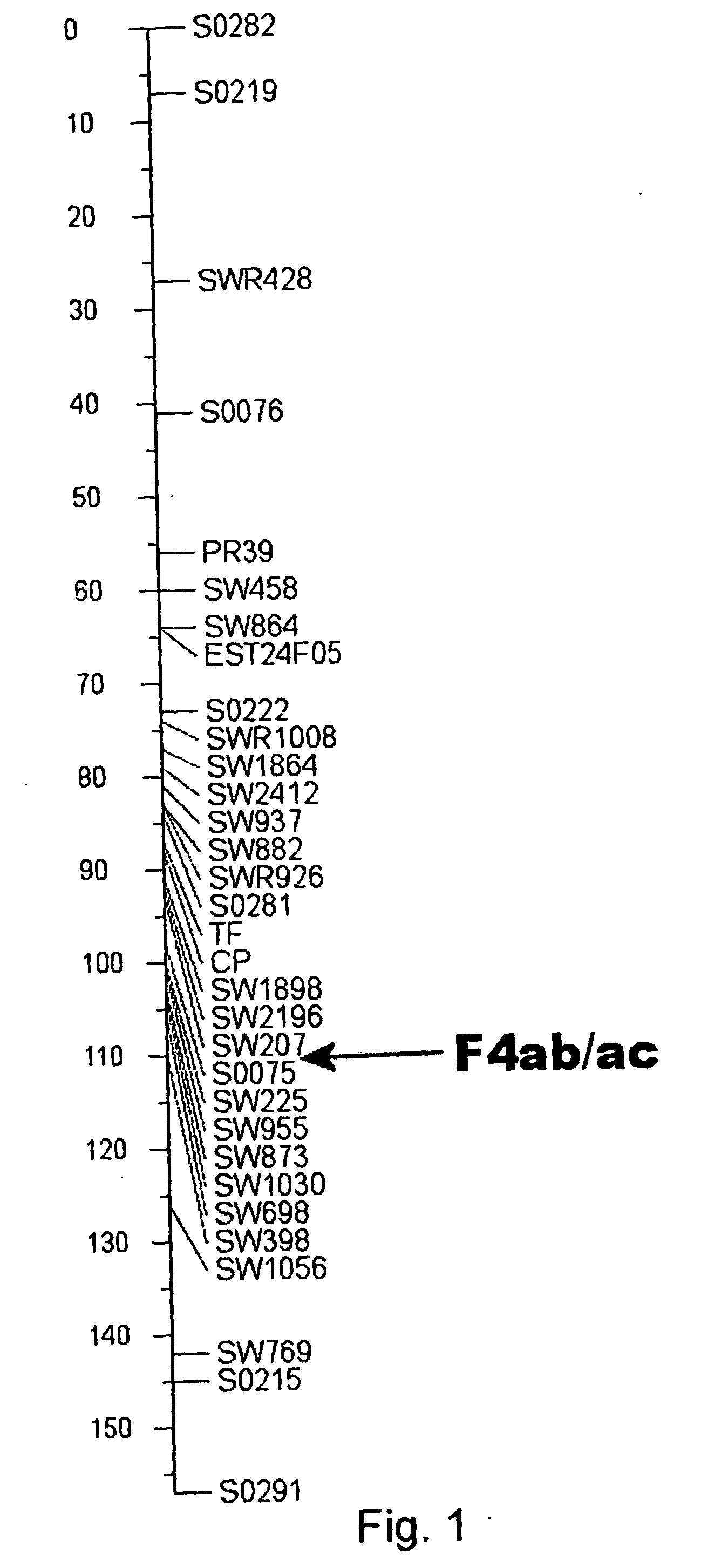 Porcine polymorphisms and methods for detecting them