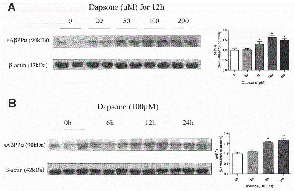 Application of dapsone to preparation of alpha-secretase enhancer