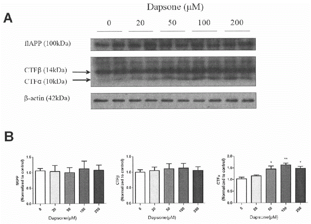 Application of dapsone to preparation of alpha-secretase enhancer
