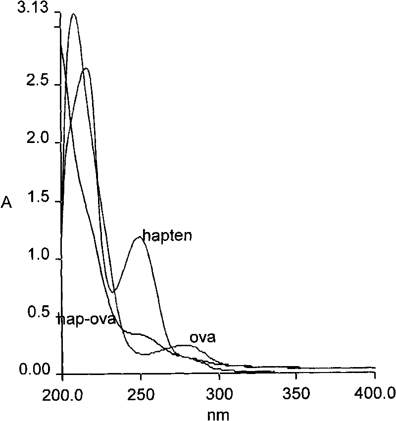 Polyclonal antibody of dimethachlon and preparation and application thereof