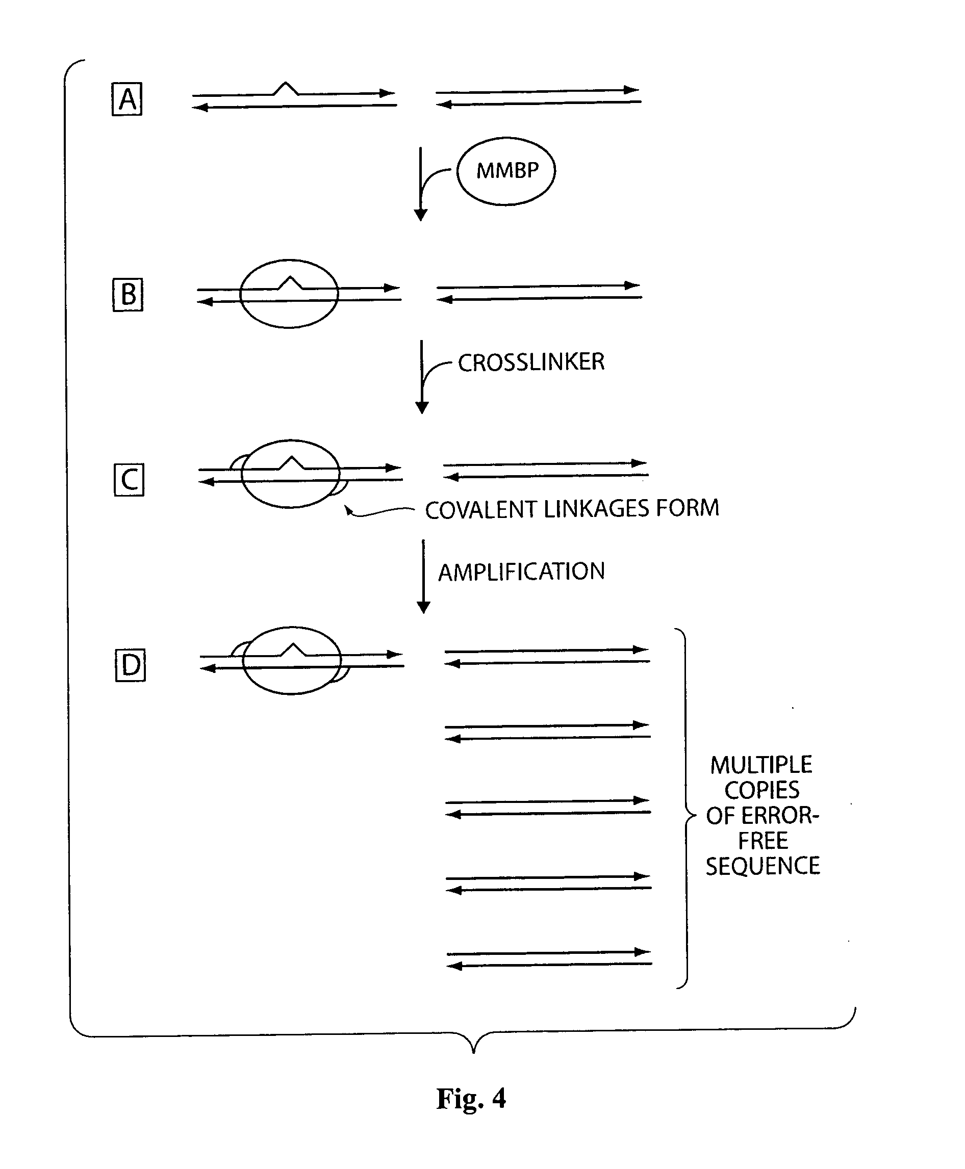 Compositions and methods for design of non-immunogenic proteins