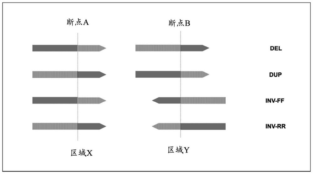 Methods of detecting structural variations in genomic regions