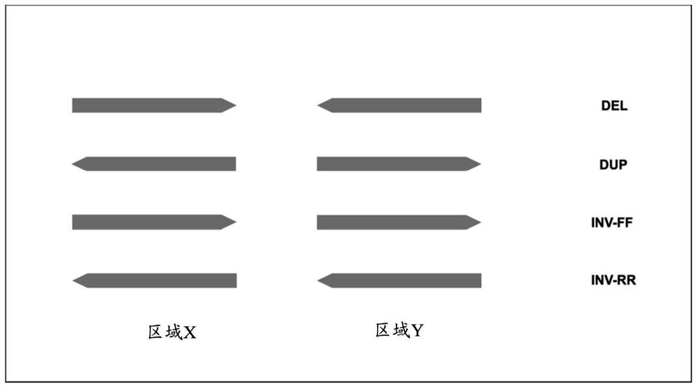 Methods of detecting structural variations in genomic regions