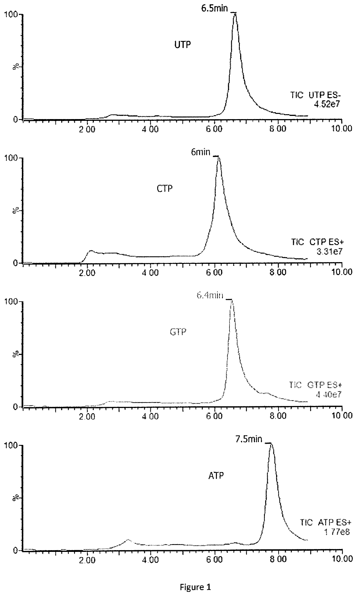 Methods for detecting or quantifying CTP and CTP synthase activity