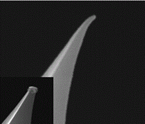 A kind of graphene-coated atomic force microscope probe and its preparation method and application