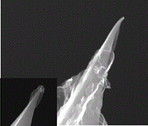 A kind of graphene-coated atomic force microscope probe and its preparation method and application