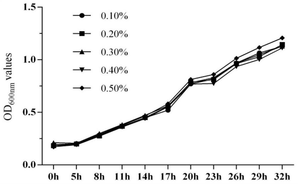 A cold-water fish probiotic Lactococcus lactis strain and its application