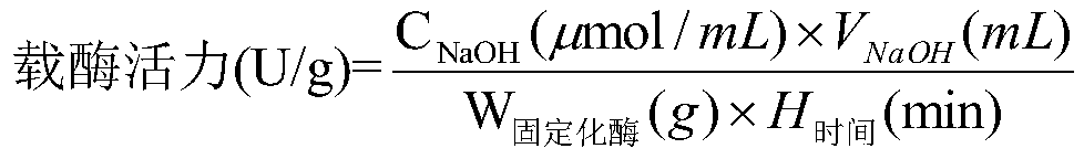 Primary amino group immobilized enzyme carrier and preparation method thereof