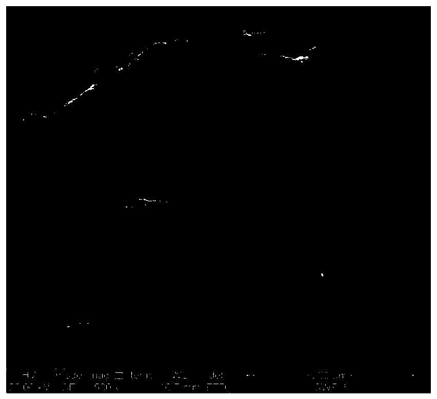 Humic acid modified filtrate reducer for water-based drilling fluid and preparation method and drilling fluid