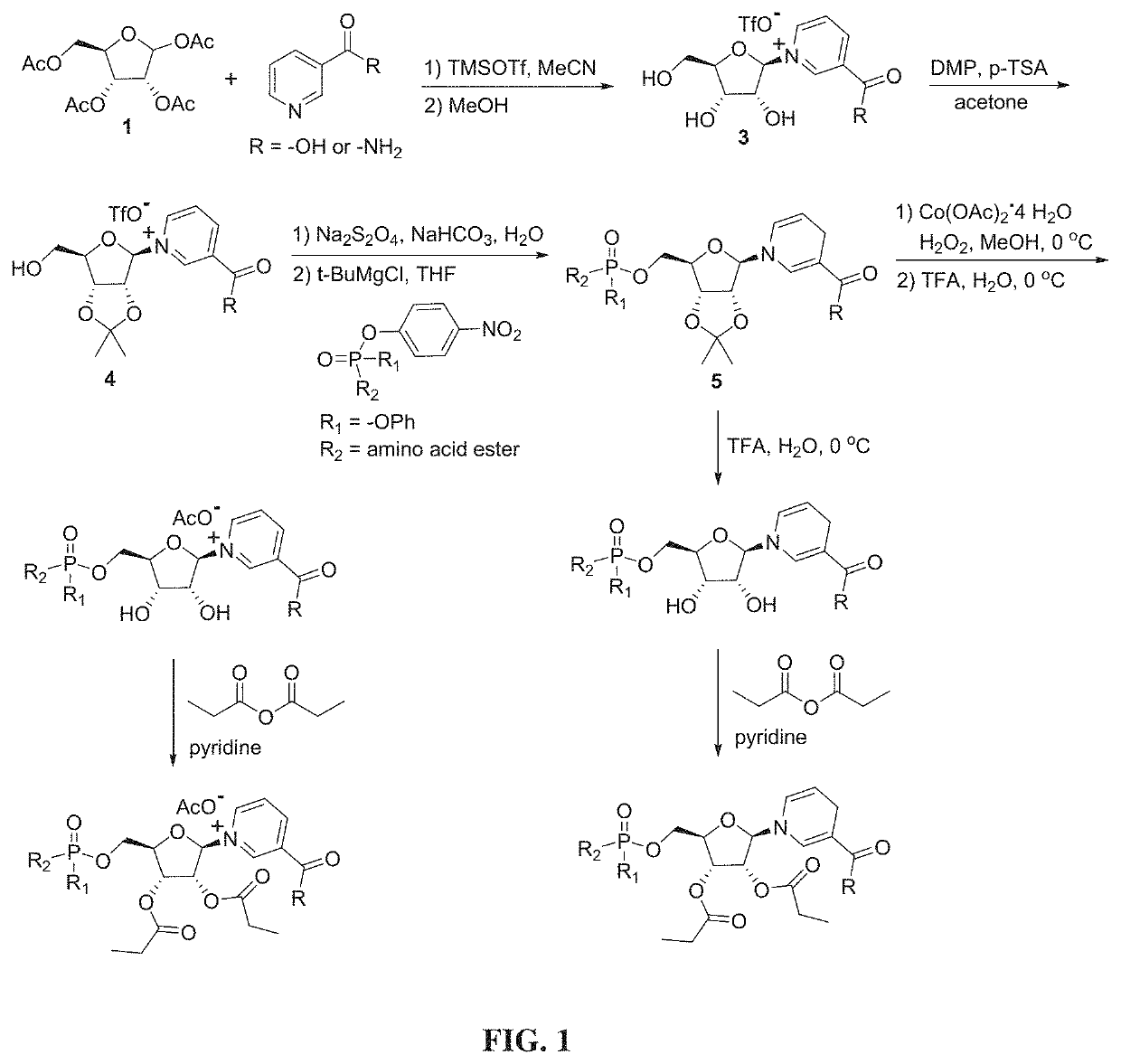 Nicotinyl riboside compounds and their uses
