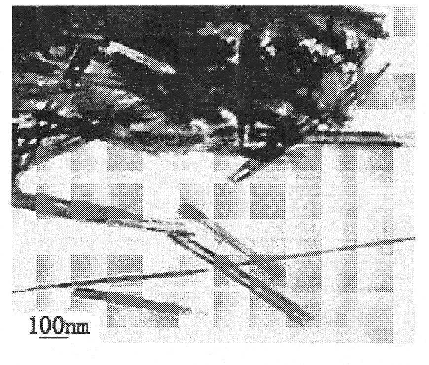 Preparation method of cobalt sulfide nanotubes or nanowires based on porous anodic aluminum oxide template
