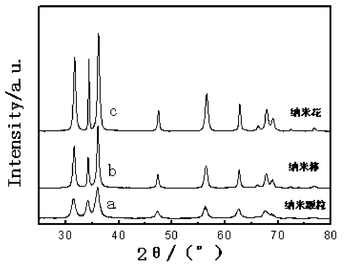 Preparation method of zinc oxide/polyaniline composite photocatalyst