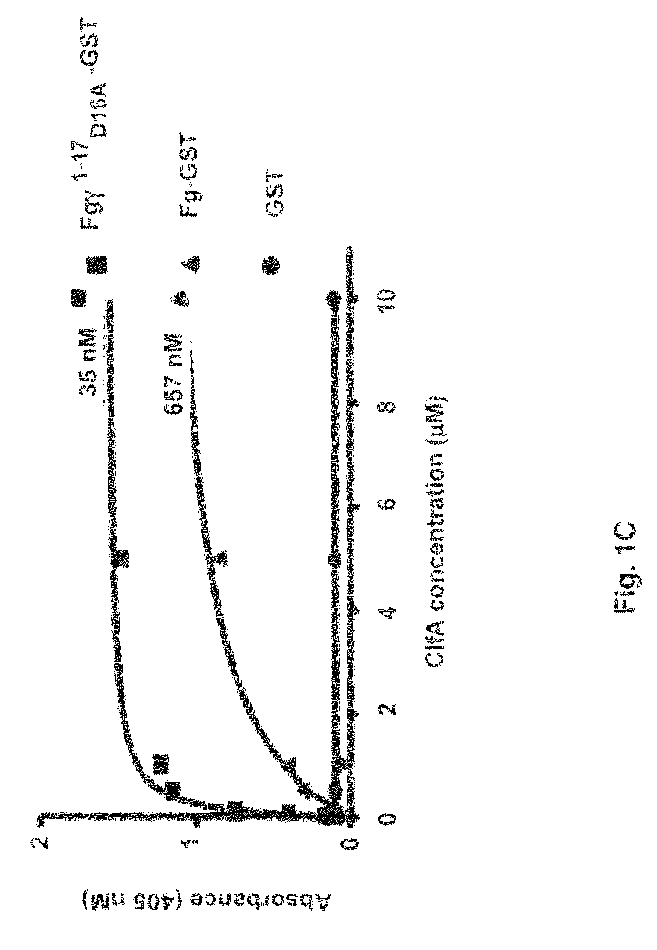 Crystal structure of Staphylococcus aureus clumping factor A in complex with fibrinogen derived peptide and uses thereof
