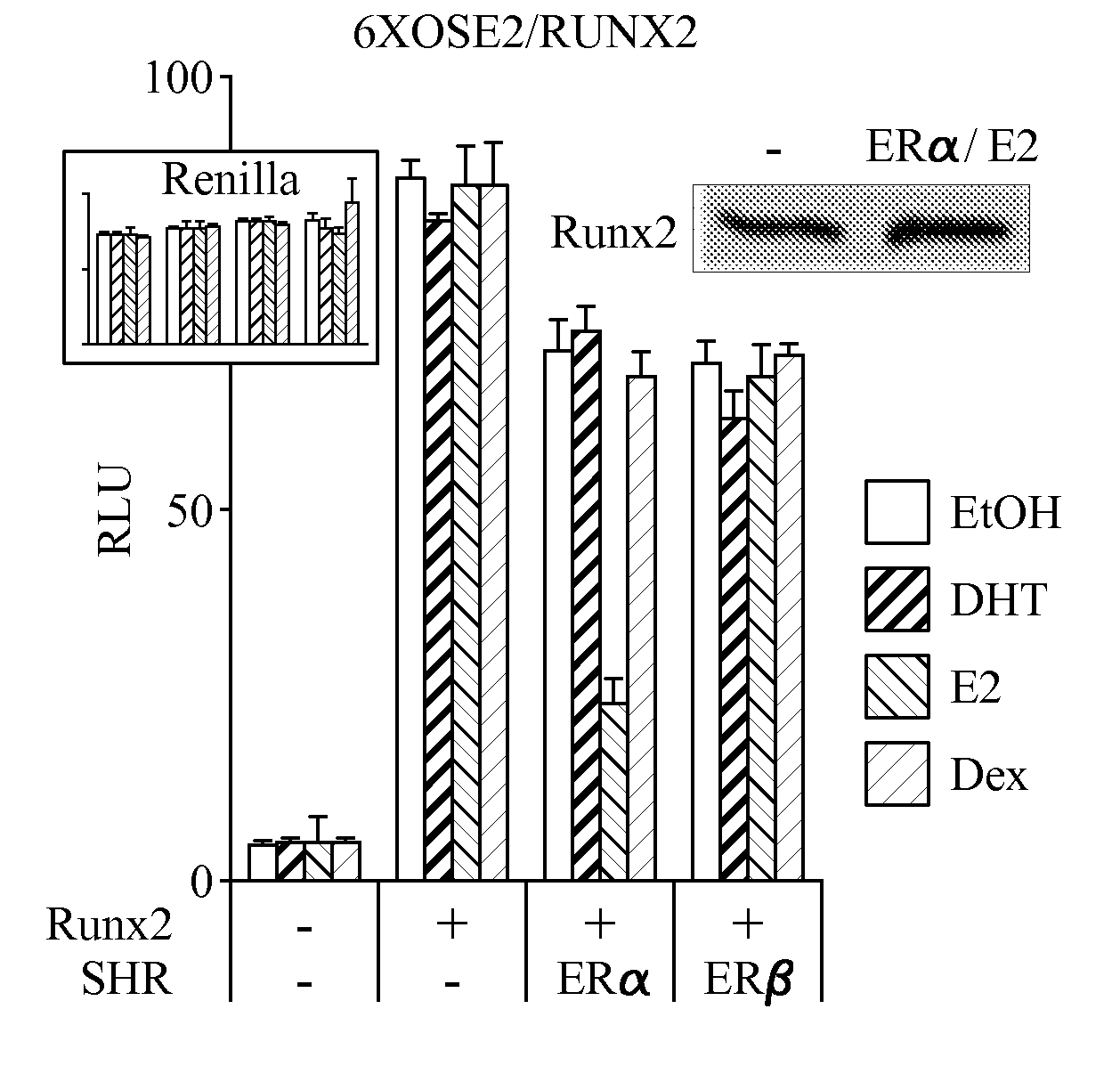 Runx-mediated action of nuclear receptors and utilities thereof