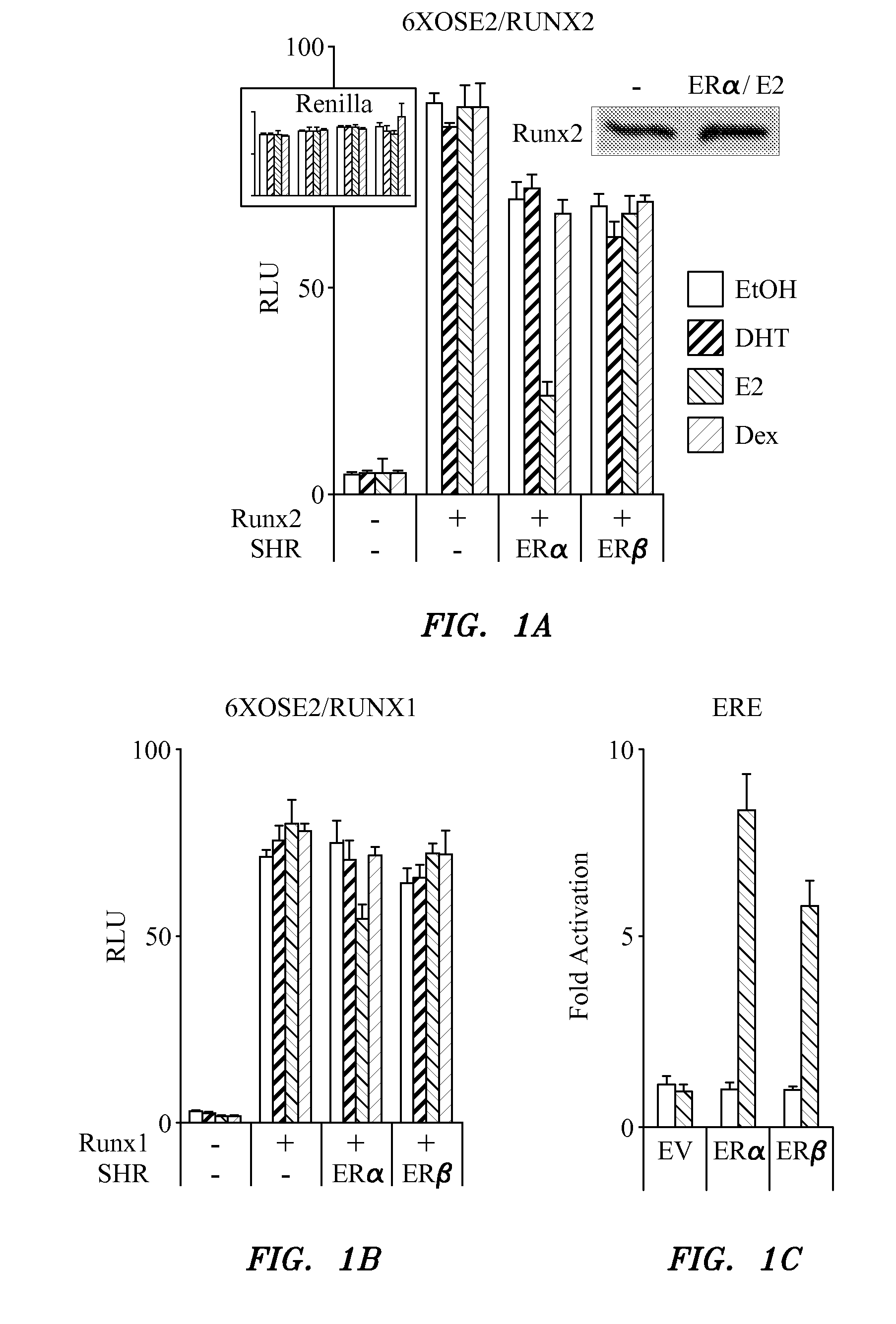 Runx-mediated action of nuclear receptors and utilities thereof