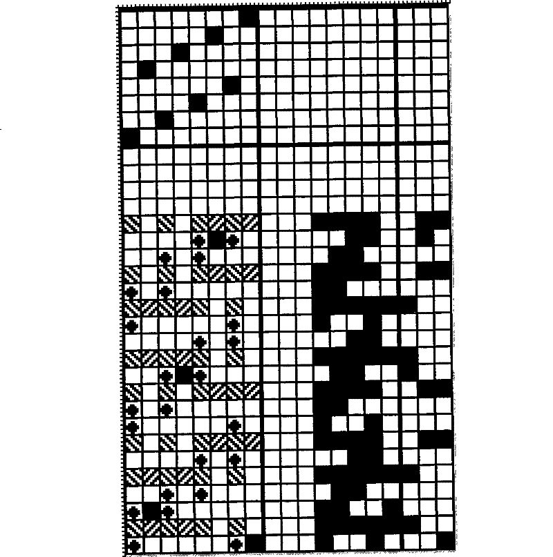 Ramie / terylene double fabric for textile wall cloth and curtain cloth and preparing method thereof