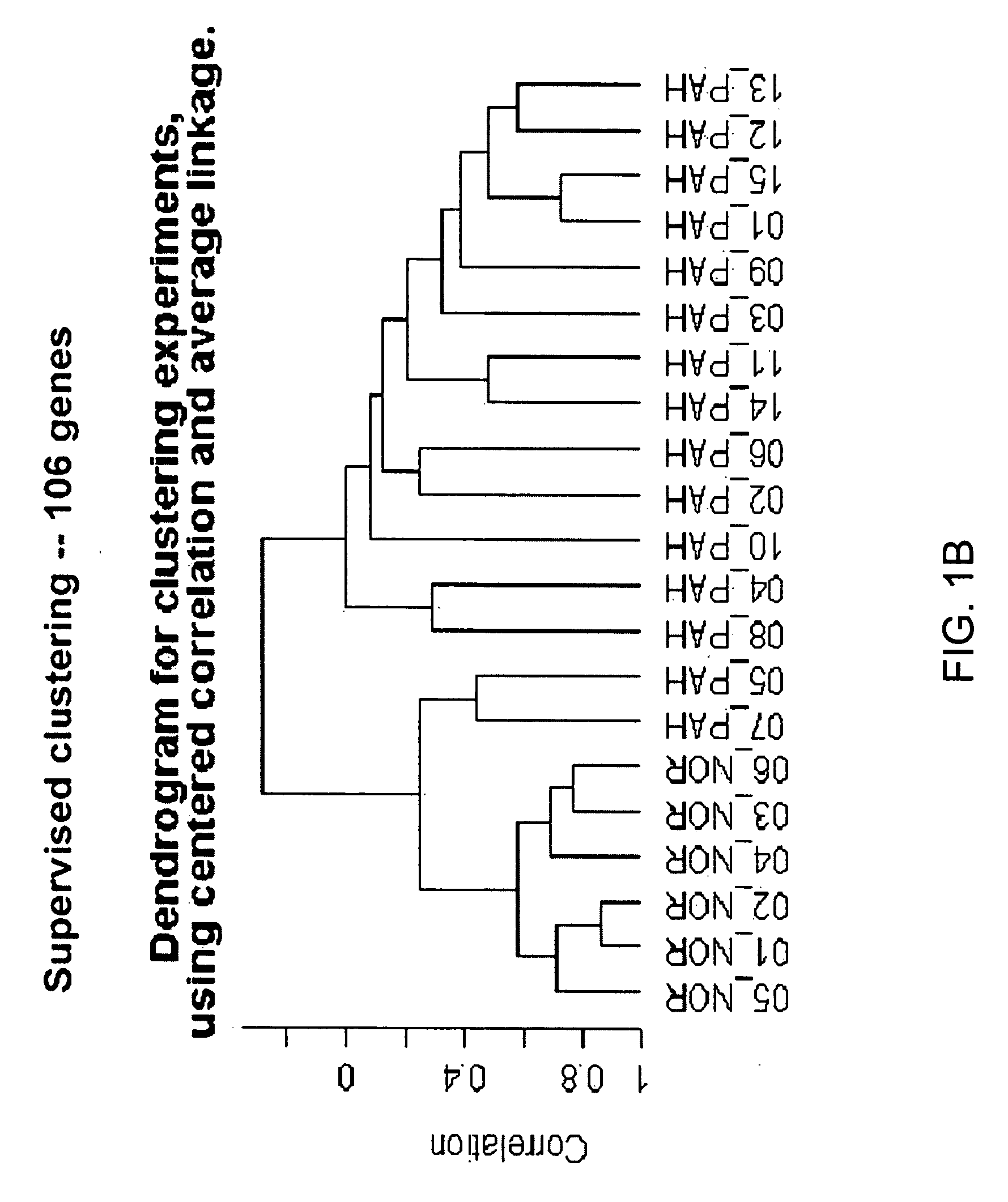 Diagnosis of disease and monitoring of therapy using gene expression analysis of peripheral blood cells