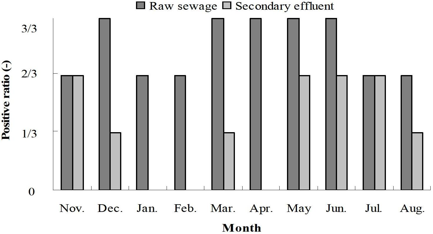 Qualitative detection method for simultaneously detecting three types of main hand-foot-and -mouth disease viruses in water environment